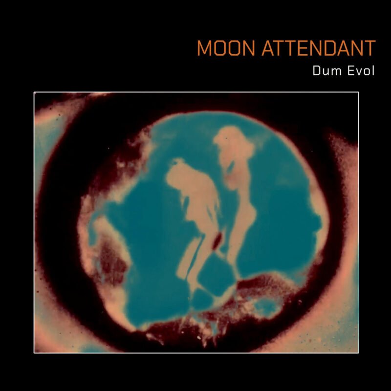 Moon Attendant Dum Evol Moon Attendant Dum Evol