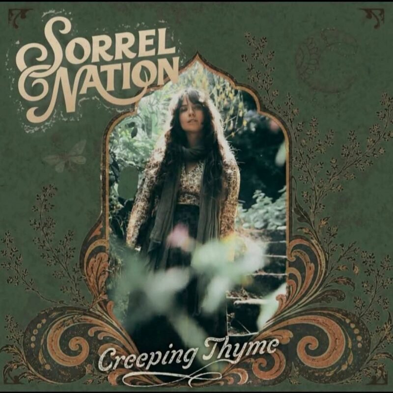 Sorrel Nation Creeping Thyme Sorrel Nation Creeping Thyme